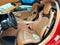 2020 Chevrolet Corvette Stingray 3LT