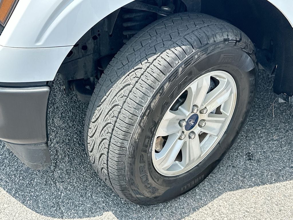 2024 Ford F-150 XL