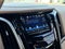 2019 Cadillac Escalade Platinum Edition