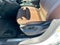2021 Volkswagen Atlas 3.6L V6 SE w/Technology R-Line