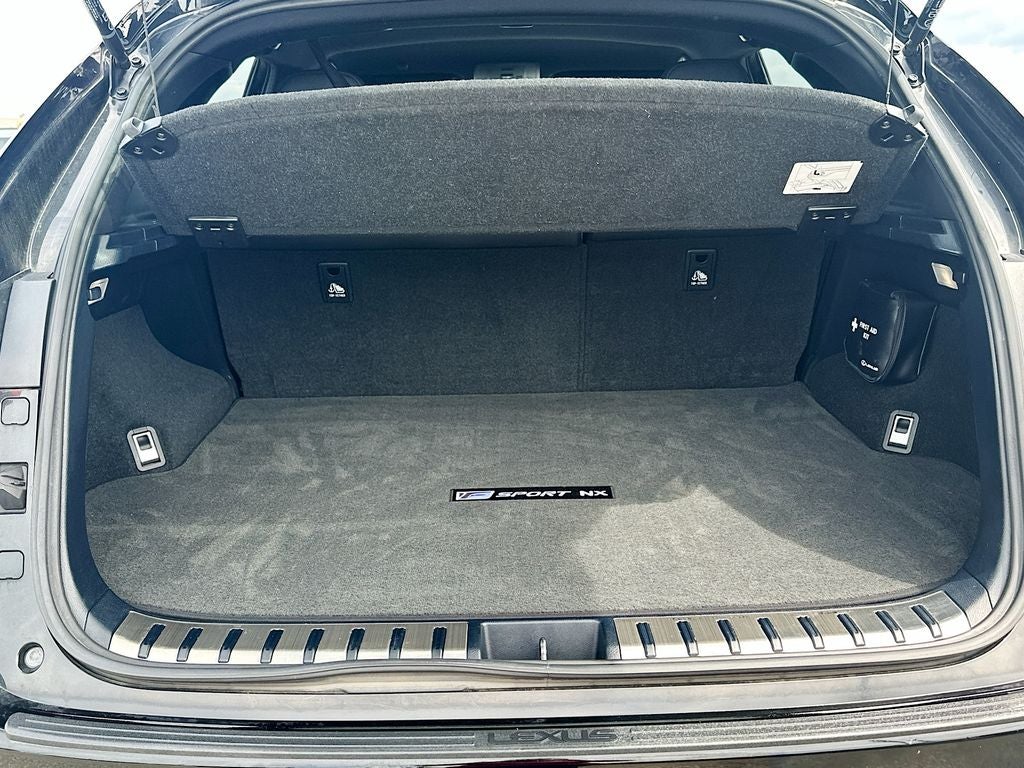2021 Lexus NX 300 F Sport