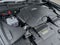 2026 Audi Q8 55 Premium Plus quattro