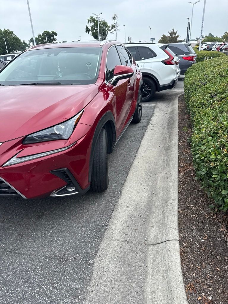 2019 Lexus NX 300 Base